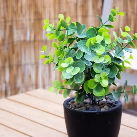 Appartement Skyline,downtown Station, Terrace, Netflix