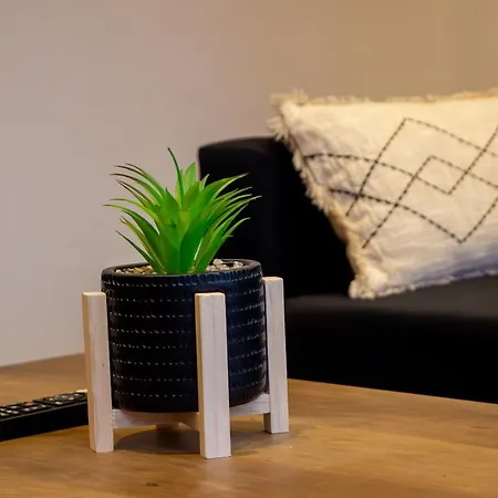 Skyline,downtown Station, Terrace, Netflix