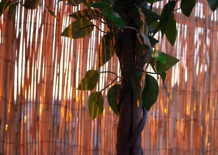 Skyline,downtown Station, Terrace, Netflix *