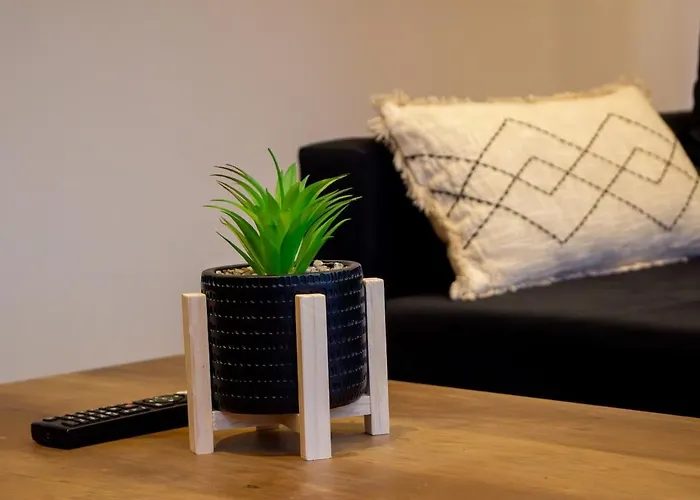 Skyline,downtown Station, Terrace, Netflix