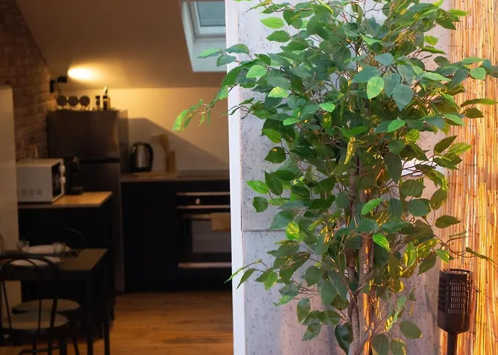 Skyline,downtown Station, Terrace, Netflix *